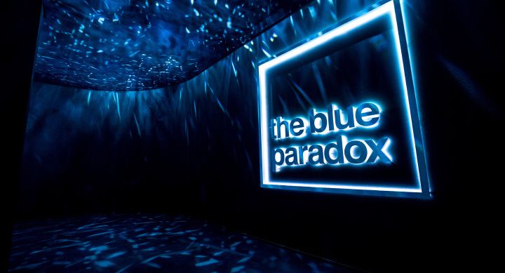 Blue Paradox exhibit detail
