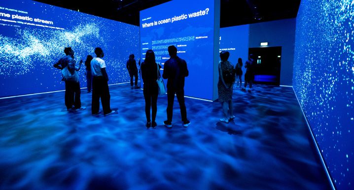 Blue Paradox exhibit detail