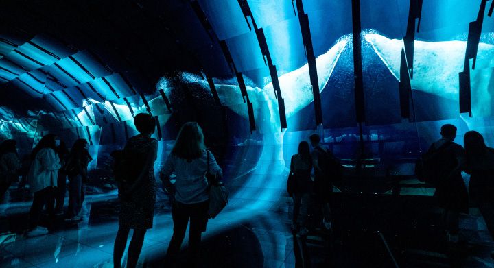 Concept lighting design for an immersive exhibition